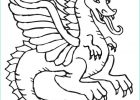 Dragon Coloriage Luxe Photographie Coloring Pages Female Dragon Coloring Pages Free and