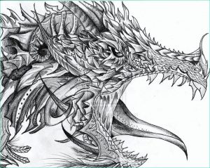Dragon Dessin Simple Élégant Image 25 Stunning and Realistic Dragon Drawings From Around the