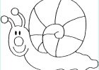 Escargot A Colorier Nouveau Photos Coloriages à Imprimer Escargot Numéro