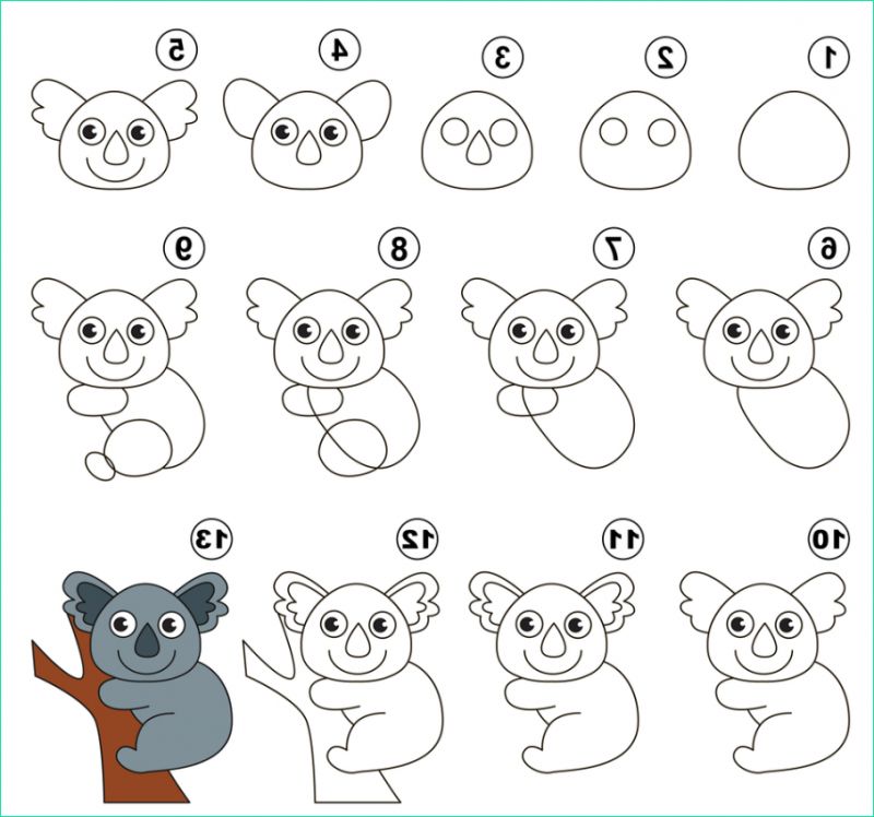 Etape Dessin Bestof Collection Apprendre à Dessiner Un Koala