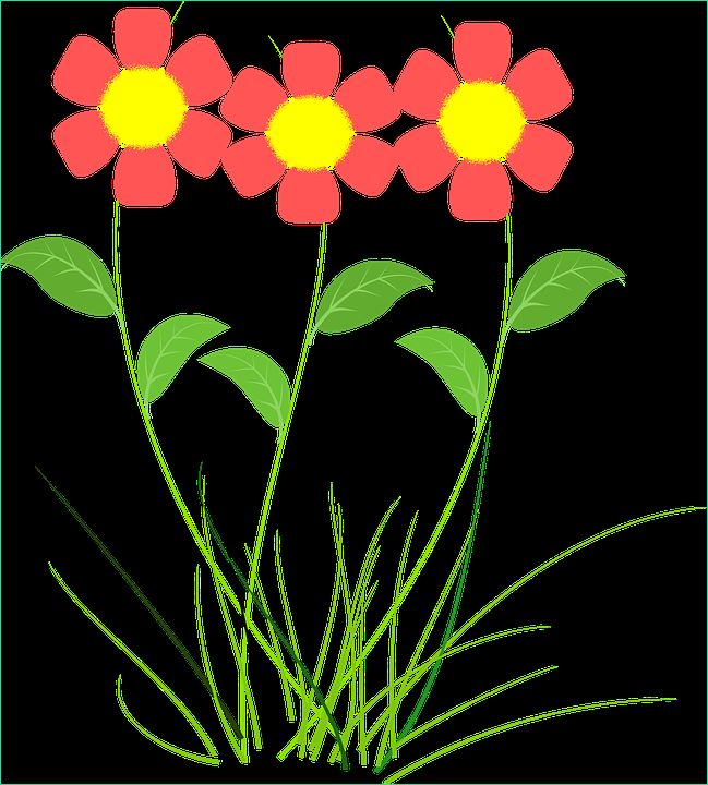 Fleur Dessin Png Inspirant Photographie Fleur Rose Plantes Dessin · Image Gratuite Sur Pixabay