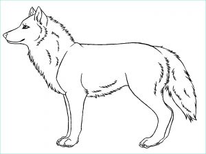 Loup Dessin Simple Luxe Stock Free Simple Drawings Wolves Download Free Clip Art