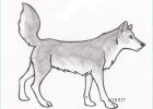 Loup Dessin Simple Unique Images Free Simple Drawings Wolves Download Free Clip Art