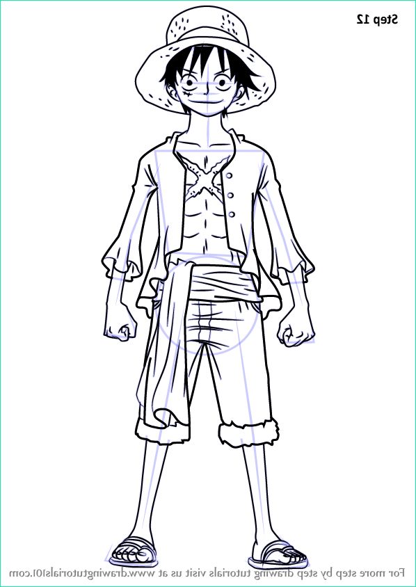 Luffy One Piece Dessin Cool Photos Learn How to Draw Monkey D Luffy Full Body From E Piece