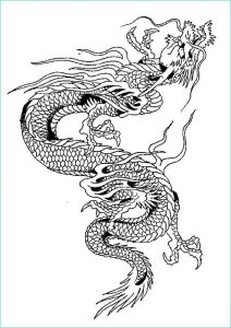 Mandala à Imprimer Difficile Dragon Élégant Image Coloriage Dragon Plexe