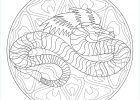 Mandala à Imprimer Difficile Dragon Inspirant Photographie Mandala Dragon 4 M&alas Adult Coloring Pages