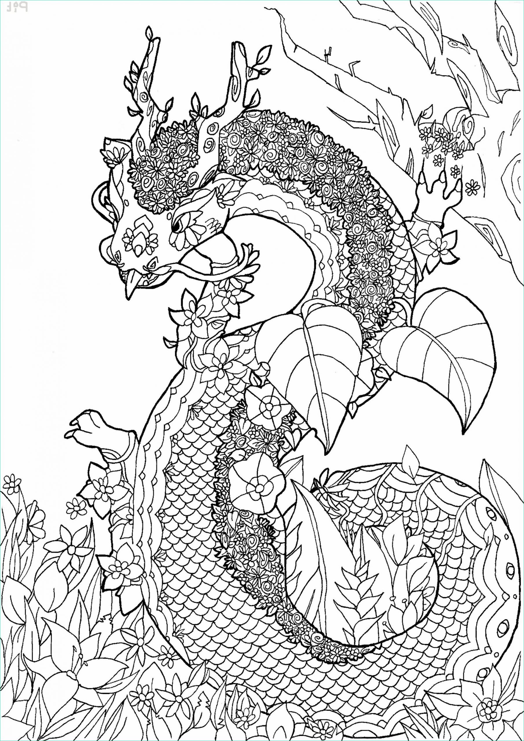 Mandala à Imprimer Difficile Dragon Luxe Photos Dragon by Pauline Flowers Adult Coloring Pages