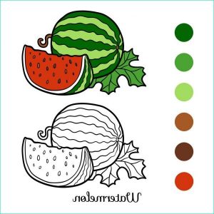 Melon Dessin Bestof Photos Livre De Coloriage Melon D’eau — Image Vectorielle Ksenya