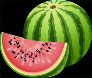 Melon Dessin Cool Galerie Fruits Pasteques Melons Page 5