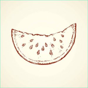 Melon Dessin Nouveau Galerie Melon D’eau Dessin Vectoriel — Image Vectorielle Marinka