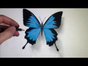 Papillon Dessin Facile Inspirant Photographie Ment Dessiner Un Papillon [tutoriel]
