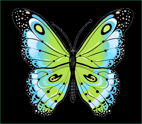 Papillon En Dessin Impressionnant Stock Papillons Imagens