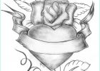 Rose Dessin Noir Et Blanc Cool Images 1001 Modèles Et Conseils Pour Apprendre Ment Dessiner
