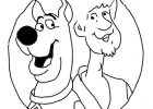 Scoubidou Dessin Impressionnant Images Scooby Doo E Il Suo Amico Shaggy Da Colorare Disegni Da