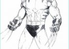 Wolverine Coloriage Élégant Stock Dibujo Para Colorear Wolverine 5