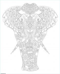Zentangle Animaux Beau Collection Coloriage Elephant Adulte Animal Zentangle Dessin Adulte