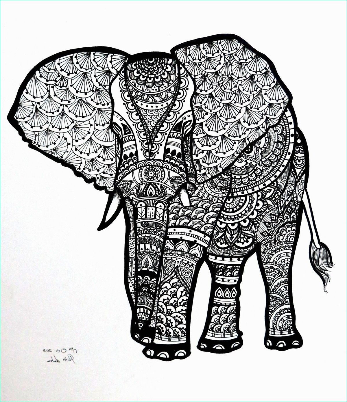 Zentangle Animaux Beau Stock Zentangle Elephant On Behance