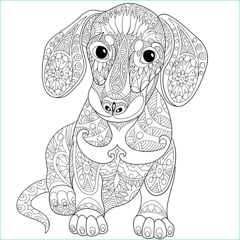 Zentangle Animaux Bestof Image Image Result for Adult Colouring Zentangle