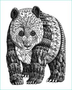 Zentangle Animaux Impressionnant Photos Panda Zentangle Coloring Pages Colouring Adult Detailed