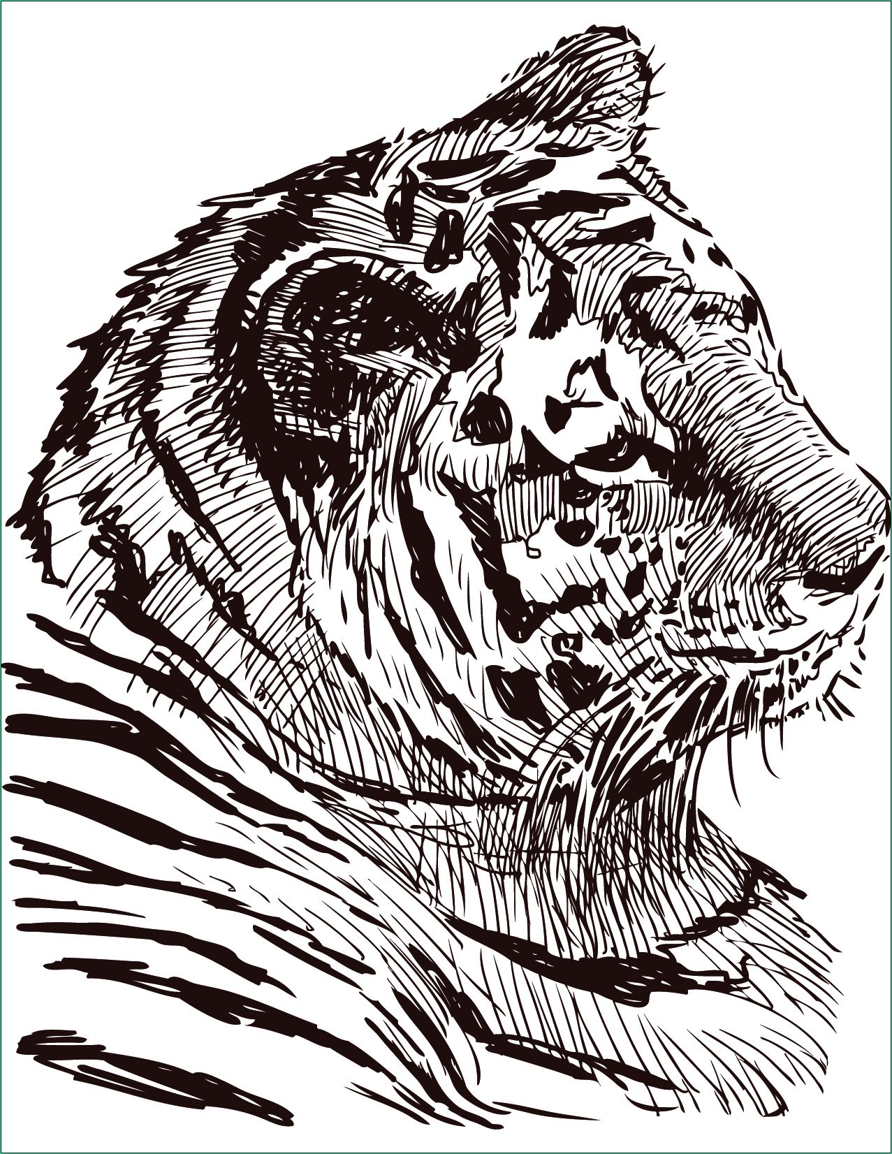 Animaux à Colorier Beau Galerie Dessin à Colorier Gratuit Félin Tigre Artherapie