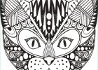 Chat Image Dessin Inspirant Galerie ornamental Head Cat Trendy Design Hand Drawn Vector
