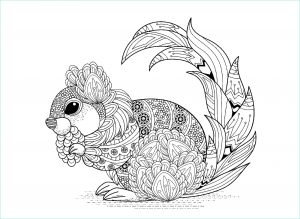 Coloriage Animaux à Imprimer Gratuit Inspirant Images Ecureuil Avec Motifs Ecureuils Et Rongeurs Coloriages
