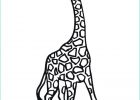 Coloriage Animaux à Imprimer Gratuit Luxe Galerie Coloriage Girafe Animaux De La Jungle