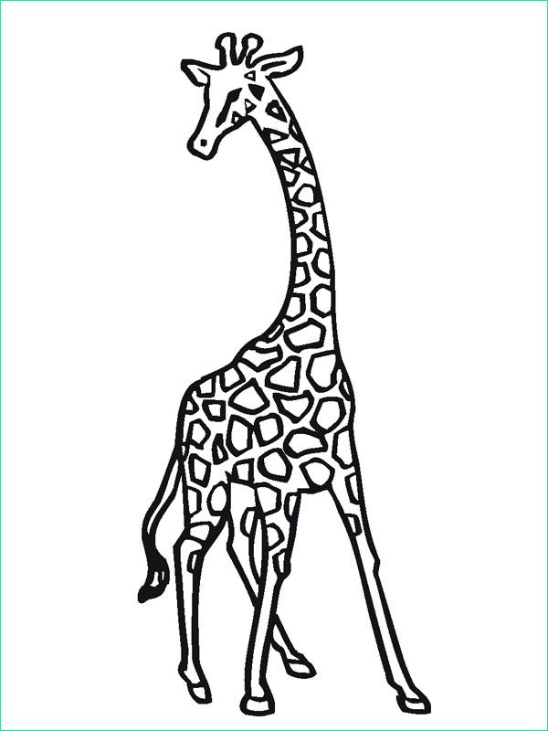 Coloriage Animaux à Imprimer Gratuit Luxe Galerie Coloriage Girafe Animaux De La Jungle