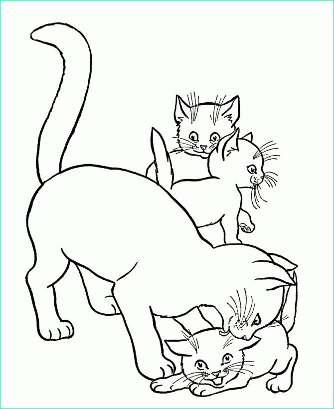 Coloriage Bebe Chat Beau Galerie 11 Inhabituellement Coloriage Bébé Chat Image Coloriage