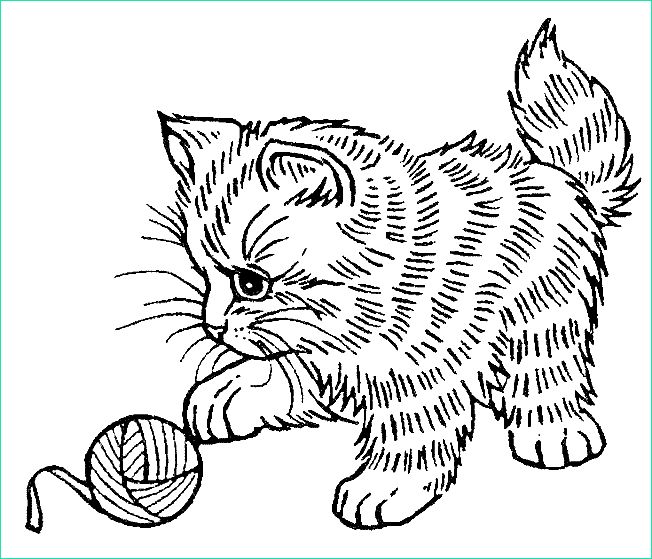 Coloriage Bebe Chat Luxe Stock Coloriage Chat