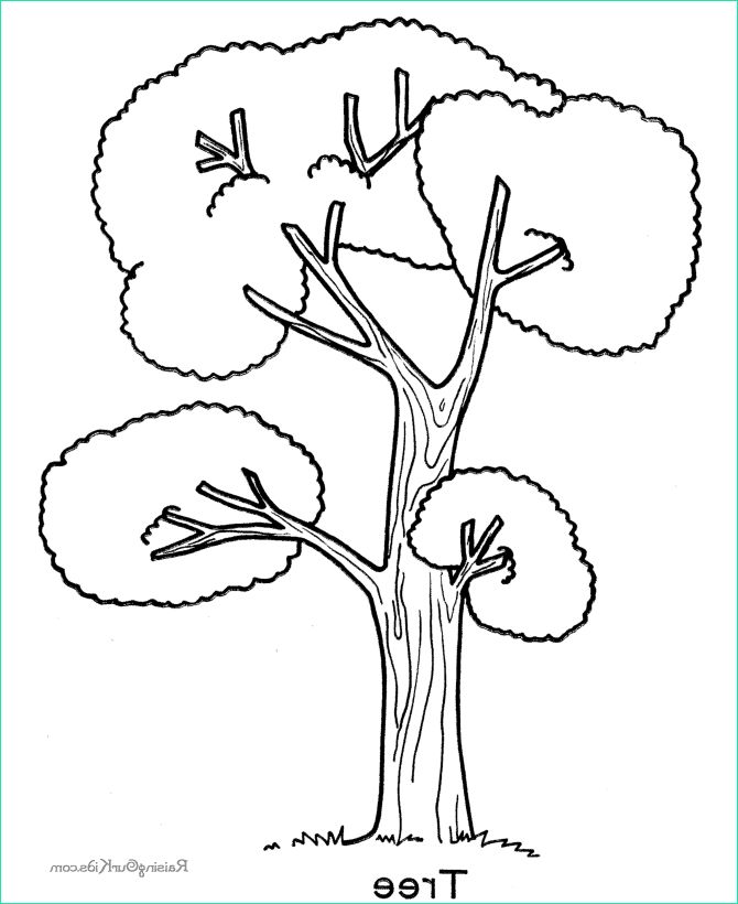 Coloriage D&amp;#039;arbre Élégant Stock 66 Dessins De Coloriage Arbre à Imprimer Sur Laguerche