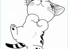 Coloriage De Chi Bestof Photographie Coloriage De Chat A Imprimer Gratuit
