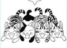 Coloriage De Chi Luxe Image Coloriage Chi Une Vie De Chat