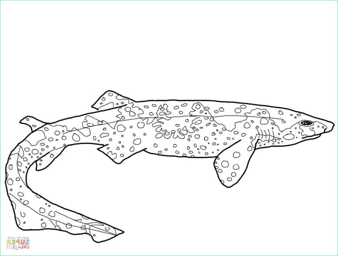 Coloriage De Requin Élégant Image Élégant Coloriage En Ligne Requin