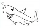 Coloriage De Requin Impressionnant Galerie Dessin Requin Baleine Dessin