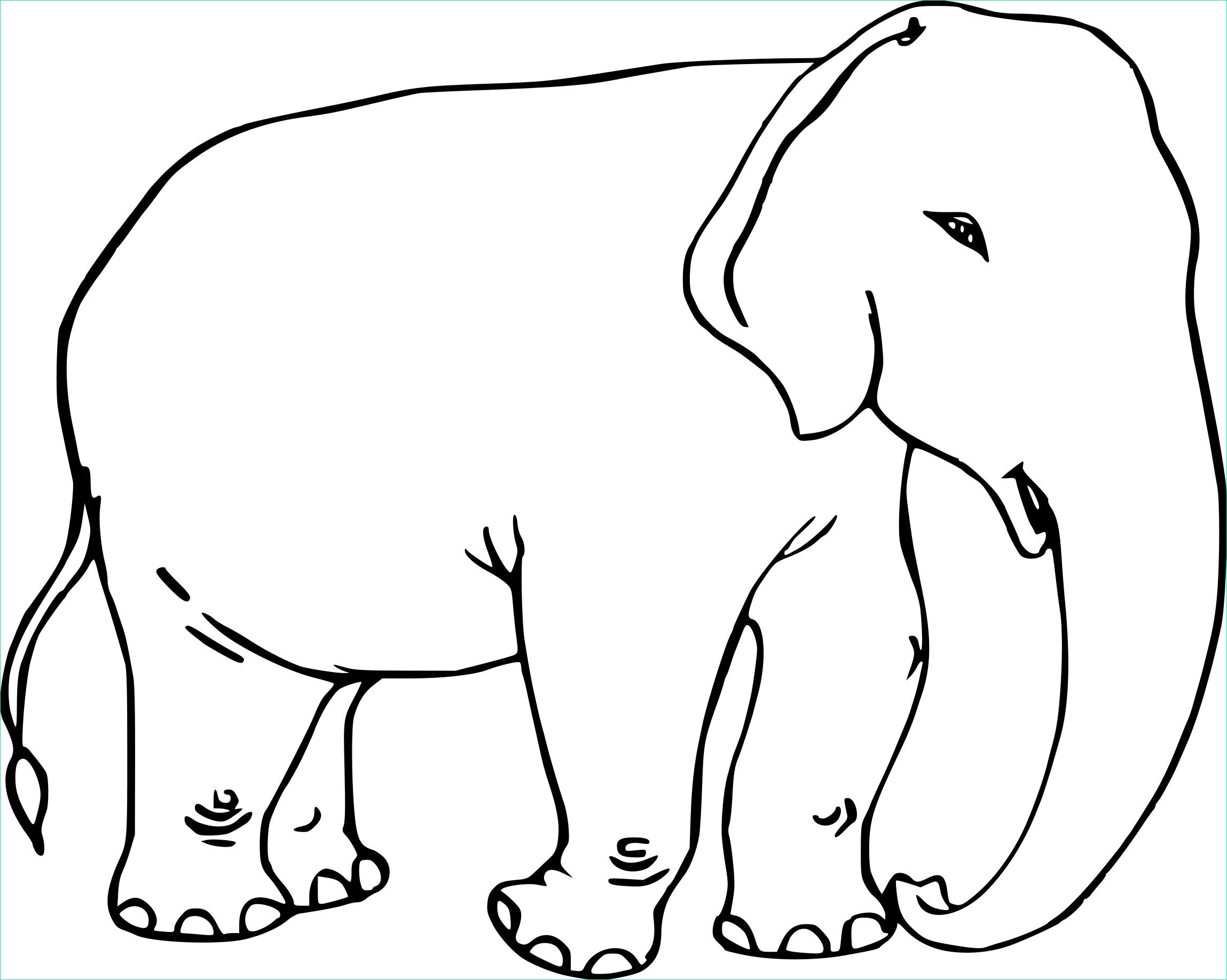 Coloriage Elephant Beau Collection Coloriage Elephant Adulte à Imprimer Sur Coloriages Fo