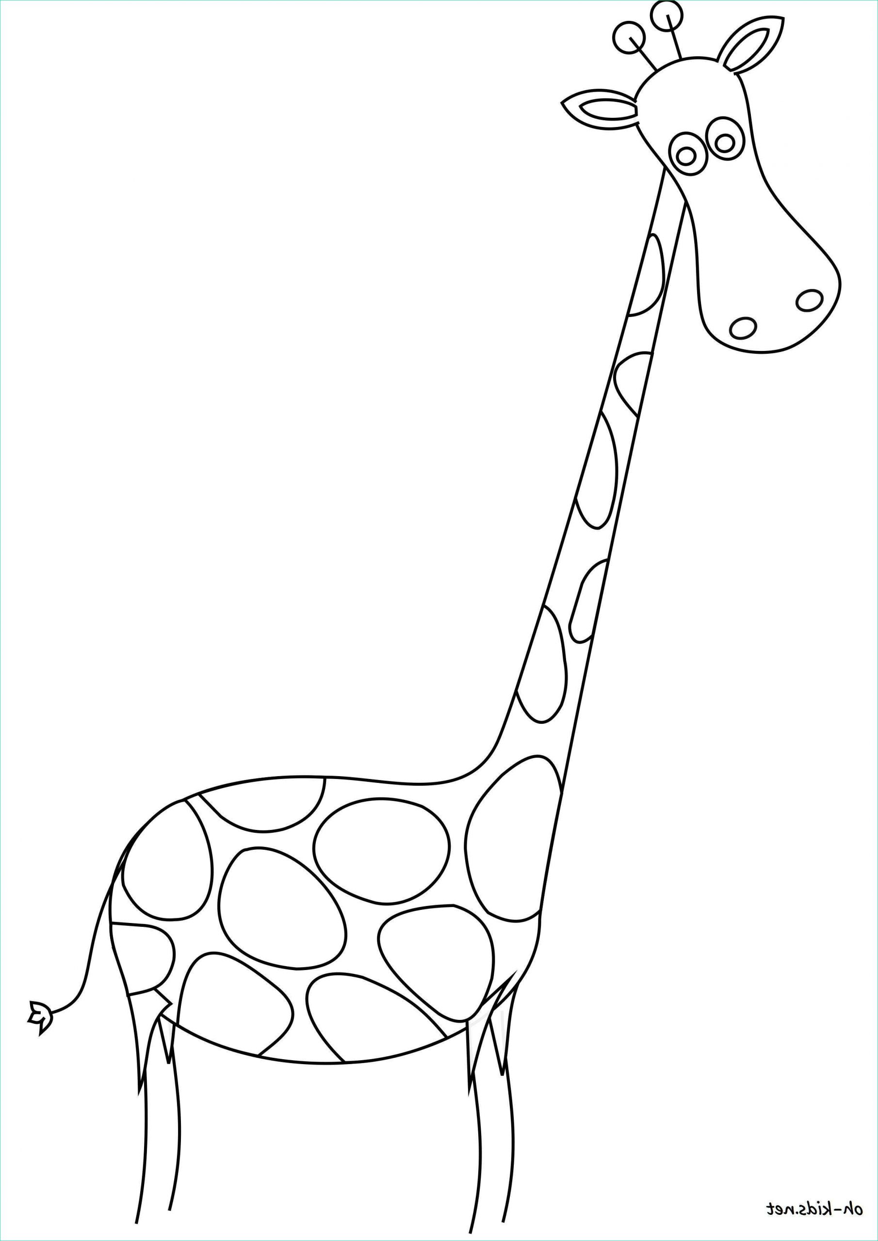 Coloriage Girafe à Imprimer Beau Collection Dessin 1591 Coloriage Girafe à Imprimer Oh Kids