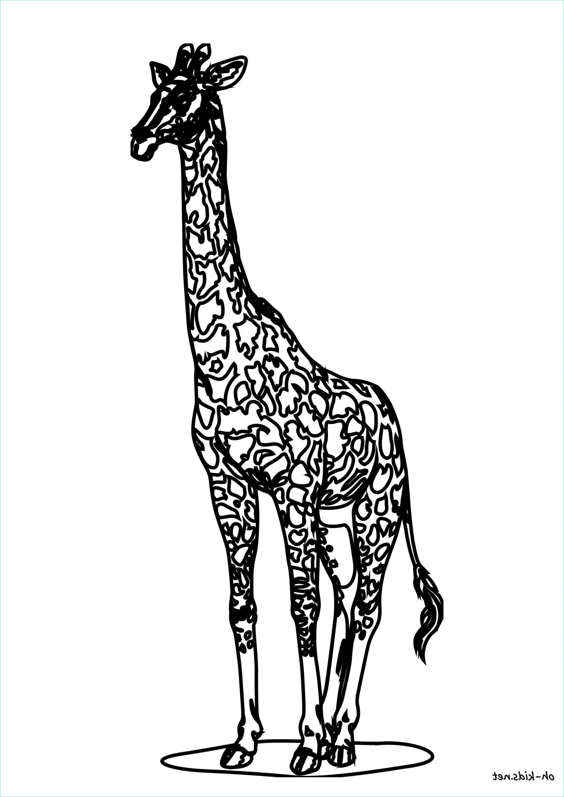 Coloriage Girafe à Imprimer Élégant Collection Coloriage Girafe Oh Kids Fr