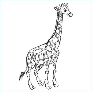 Coloriage Girafe à Imprimer Élégant Galerie Sélection De Coloriage Girafe à Imprimer Sur Laguerche