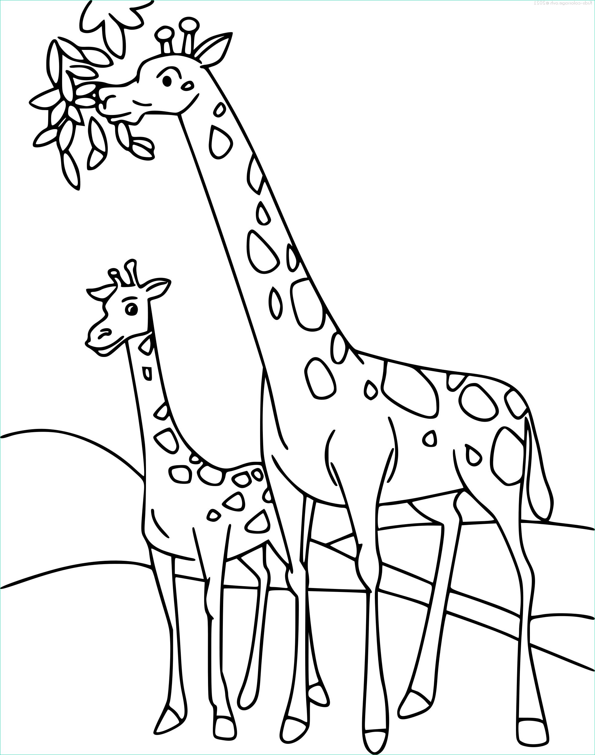 Coloriage Girafe à Imprimer Luxe Galerie Coloriage à Imprimer Girafe 3