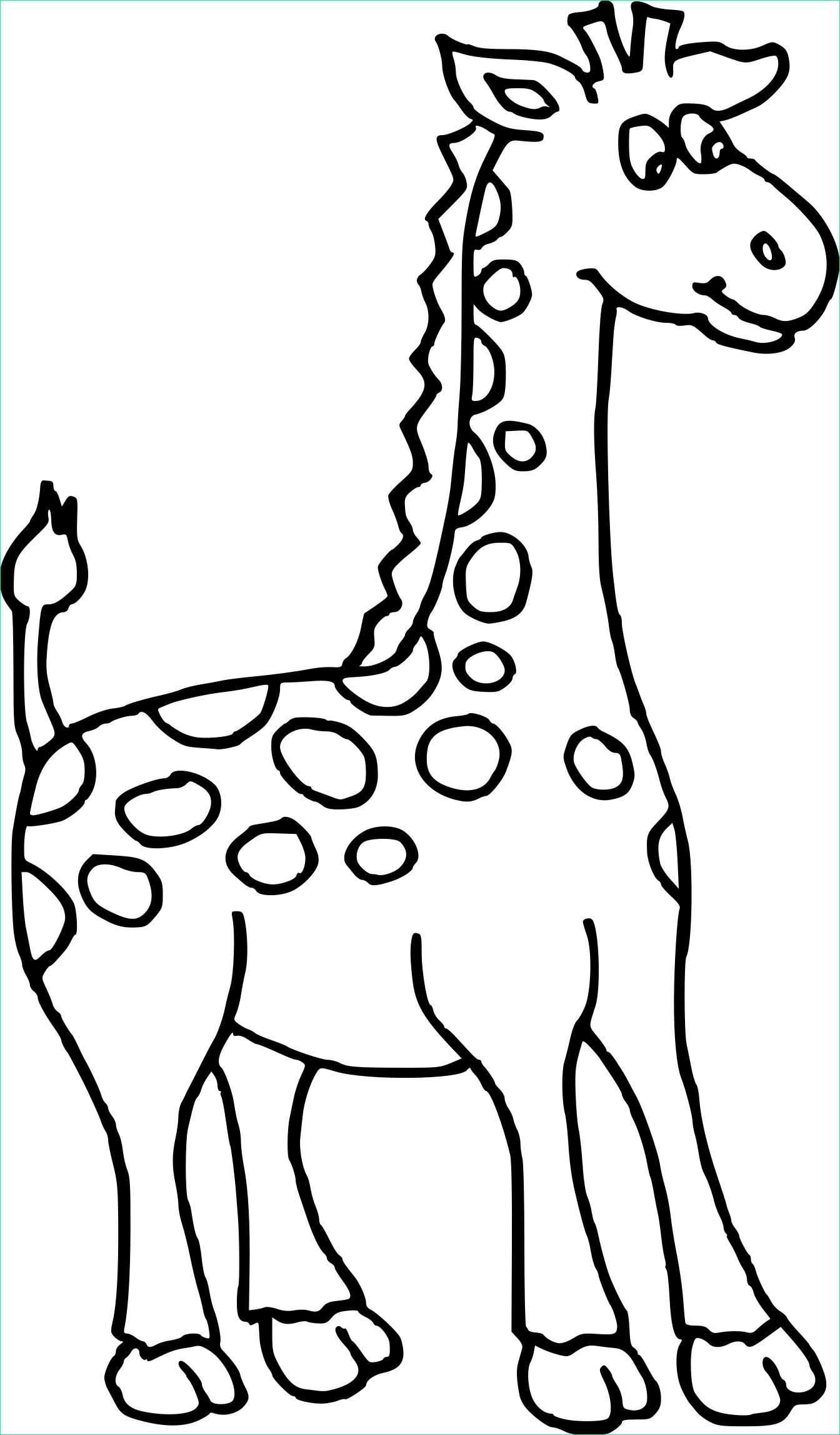 Coloriage Girafe Élégant Collection Coloriage De Girafe à Imprimer Sur Coloriages Fo