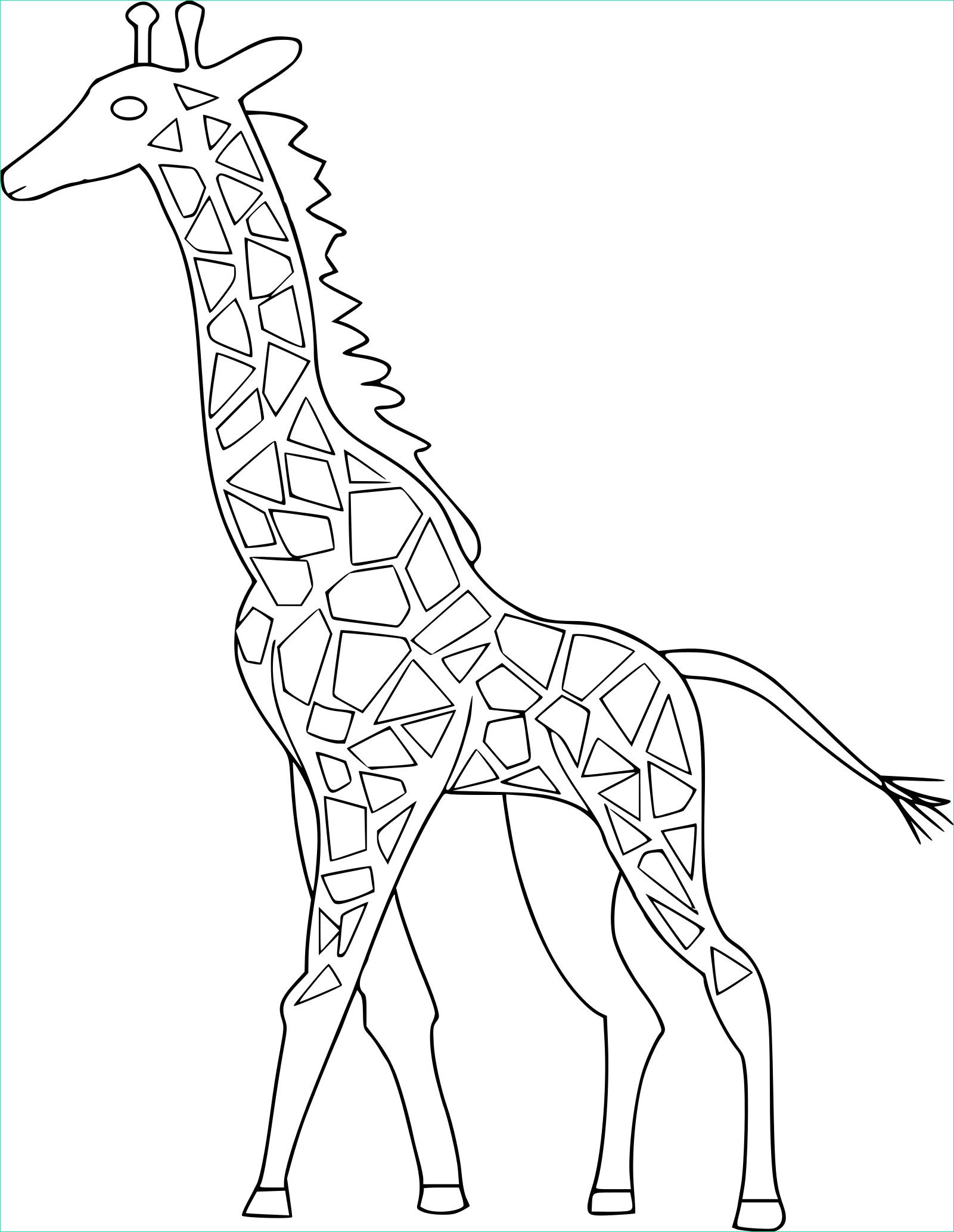 Coloriage Girafe Luxe Collection Coloriage Girafe Difficile à Imprimer Sur Coloriages Fo