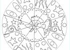 Coloriage Madala Beau Images Easy Mandala for Kids with Little Fish Hand Drawn Easy
