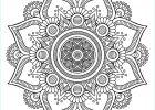 Coloriage Madala Beau Images the Big Flower Mandalas Adult Coloring Pages