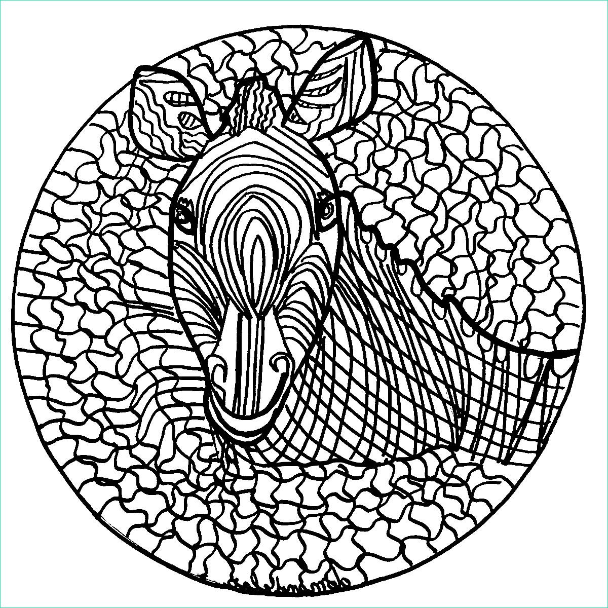 Coloriage Madala Cool Stock Mandala with A Zebra Hand Drawn Simple Mandalas