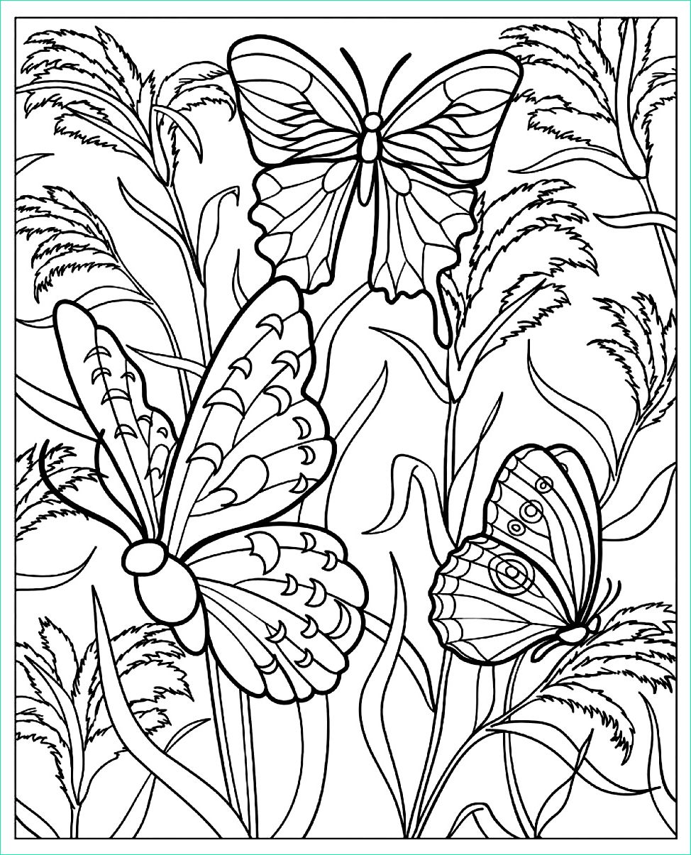 Coloriage Papillon Fleur Beau Stock Papillons Papillons &amp; Insectes Coloriages Difficiles