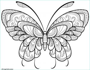 Coloriage Papillon Fleur Bestof Galerie Coloriage Papillon Adulte Jolis Motifs 11 Dessin