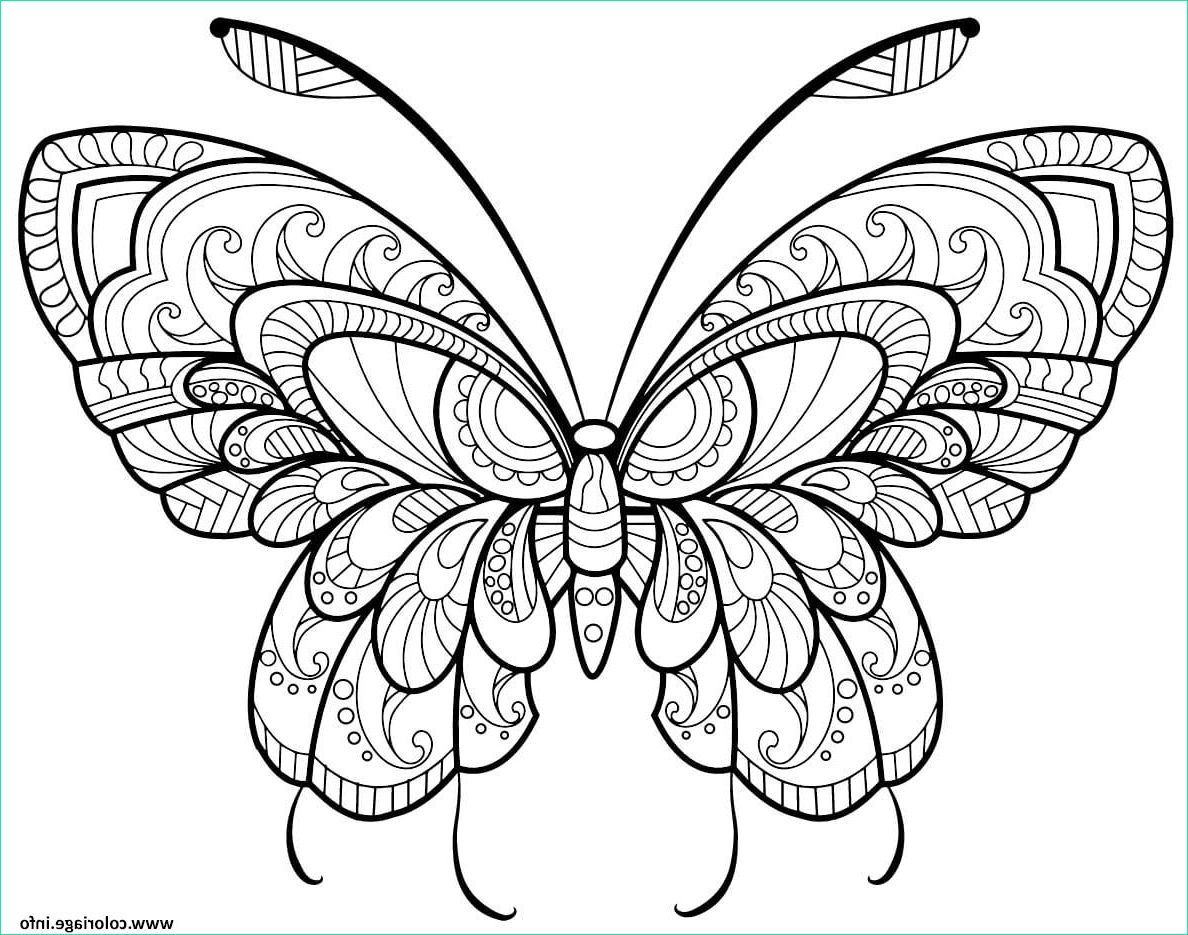 Coloriage Papillon Fleur Bestof Galerie Coloriage Papillon Adulte Jolis Motifs 11 Dessin
