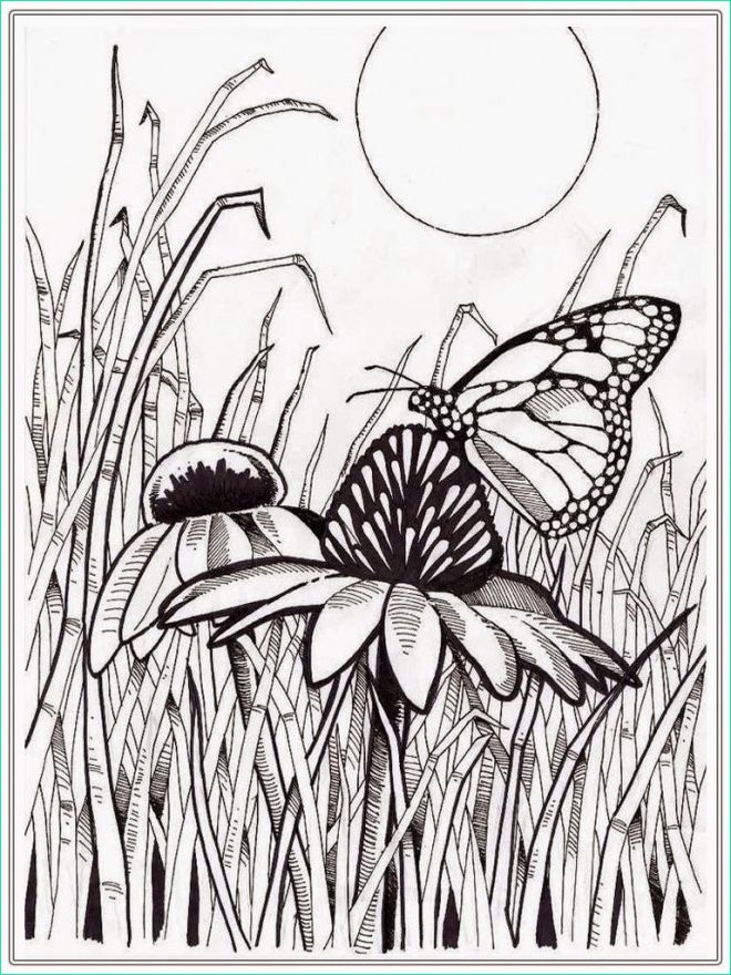 Coloriage Papillon Fleur Cool Images Coloriage Papillon Sur Fleur Pour Adulte Dessin Gratuit à