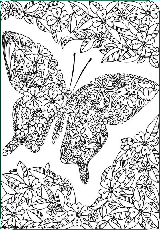 Coloriage Papillon Fleur Élégant Collection Coloriage De Pour Adultes Dessin Un Papillon Fleuri à